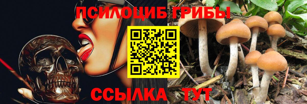 Галлюциногенные грибы ЛСД  Вход с VPN  Лосино-Петровский  Галлюциногенные грибы MAGIC MUSHROOMS 