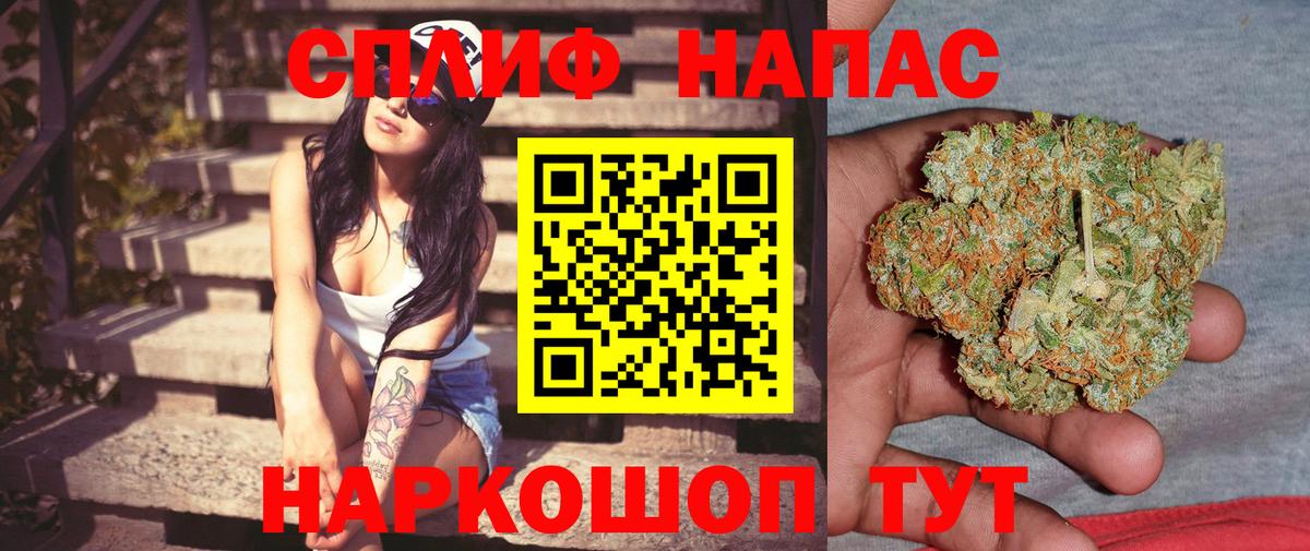 МАРИХУАНА гибрид  МАРИХУАНА семена  Каннабис семена  Лосино-Петровский  Вход с VPN 